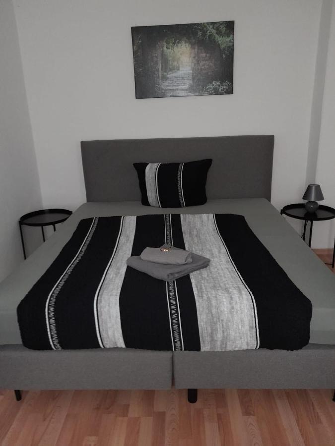Immermann-Appartements Magdeburgo Esterno foto